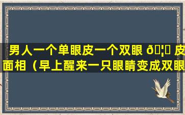 男人一个单眼皮一个双眼 🦋 皮面相（早上醒来一只眼睛变成双眼皮）